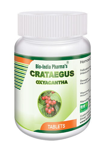 Crataegus-Oxyacantha