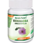 Echinacea-Angustifolia