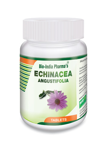 Echinacea-Angustifolia